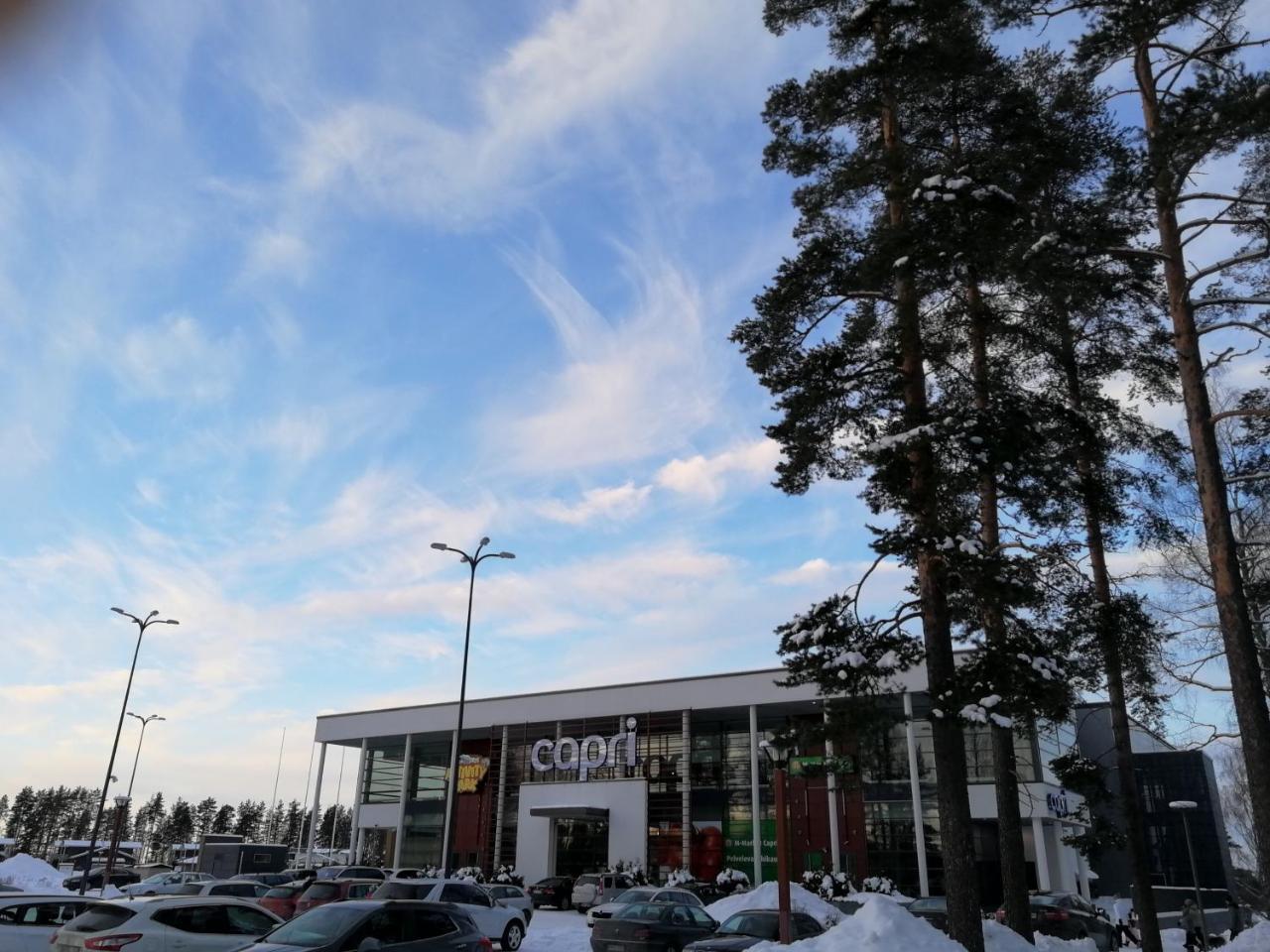 Marina Holiday Honka Village Apartments Imatra Exterior photo